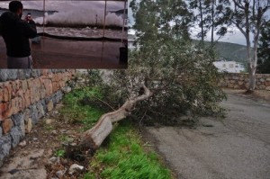 Bodrum-Fırtına