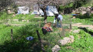 Bodrum'da karavan turizmi