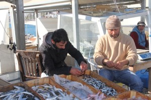 tezgahta balık bereketi (2)