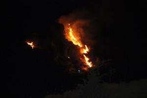 Bodrum-Gürece makilik yangını