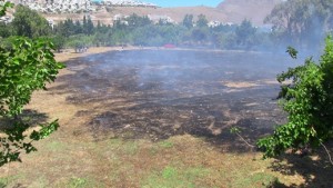 Bodrum-akyarlar yangın