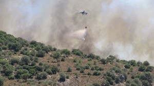 Bodrum-dereköy-makilik alan yangını