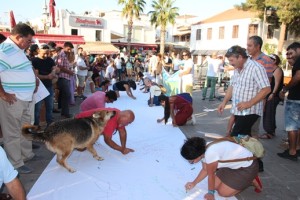 bodrum-dünya barış günü