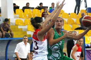 bodrum-kırçiçeği basket