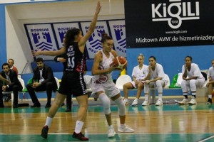 Bodrum-kırçiçeği basket