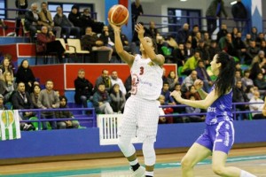 bodrum kırçiçeği basket