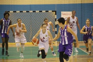 bodrum-kırçiçeği basket