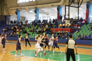 bodrum kırçiçeği basket