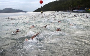 6. Uluslararası Arena Aquamasters Yüzme Şampiyonası