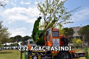 Büyükşehir'den ağaçları koruyan yatırım (8)