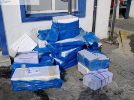 BODRUM’DA 200 KİLO KAÇAK DENİZ ÜRÜNÜ ELE GEÇİRİLDİ