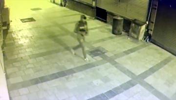 HIRSIZ KAMERALARA YAKALANDI