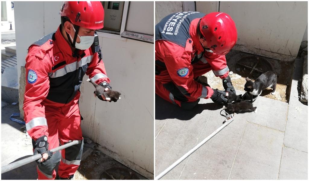 Sıkışan Kedi Yavruları Kurtarıldı