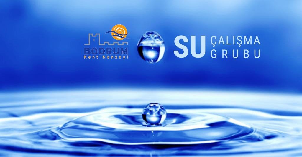 Bodrum Kent Konseyi Su Çalışma Grubu Çalıştaya Katıldı