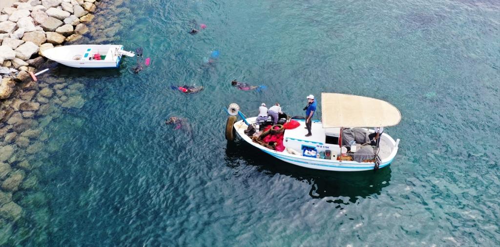 Turgutreis'te Yarım Tona Yakın Atık Toplandı