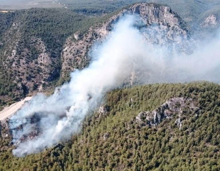 Milas'ta Orman Yangını
