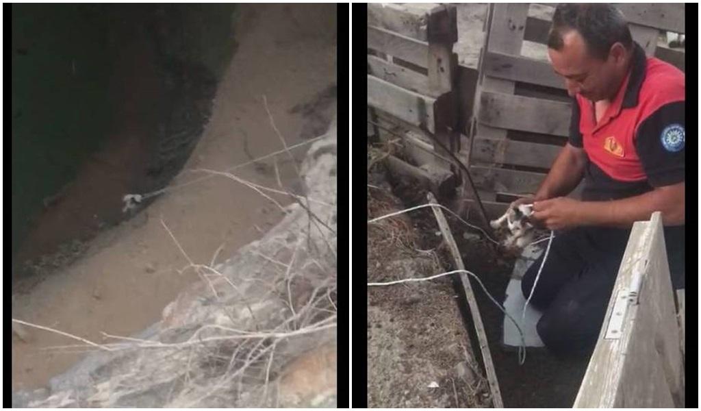 15 Metrelik Kuyudan Çıkarıldı