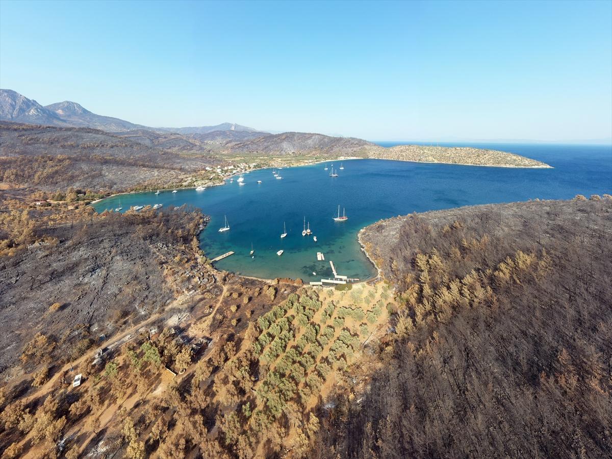 Koylarda Hareketlilik Yeniden Başladı