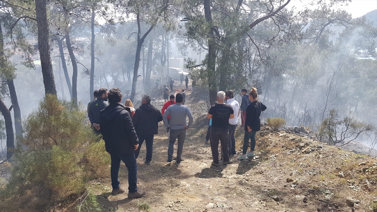 Muğla'da Orman Yangınları