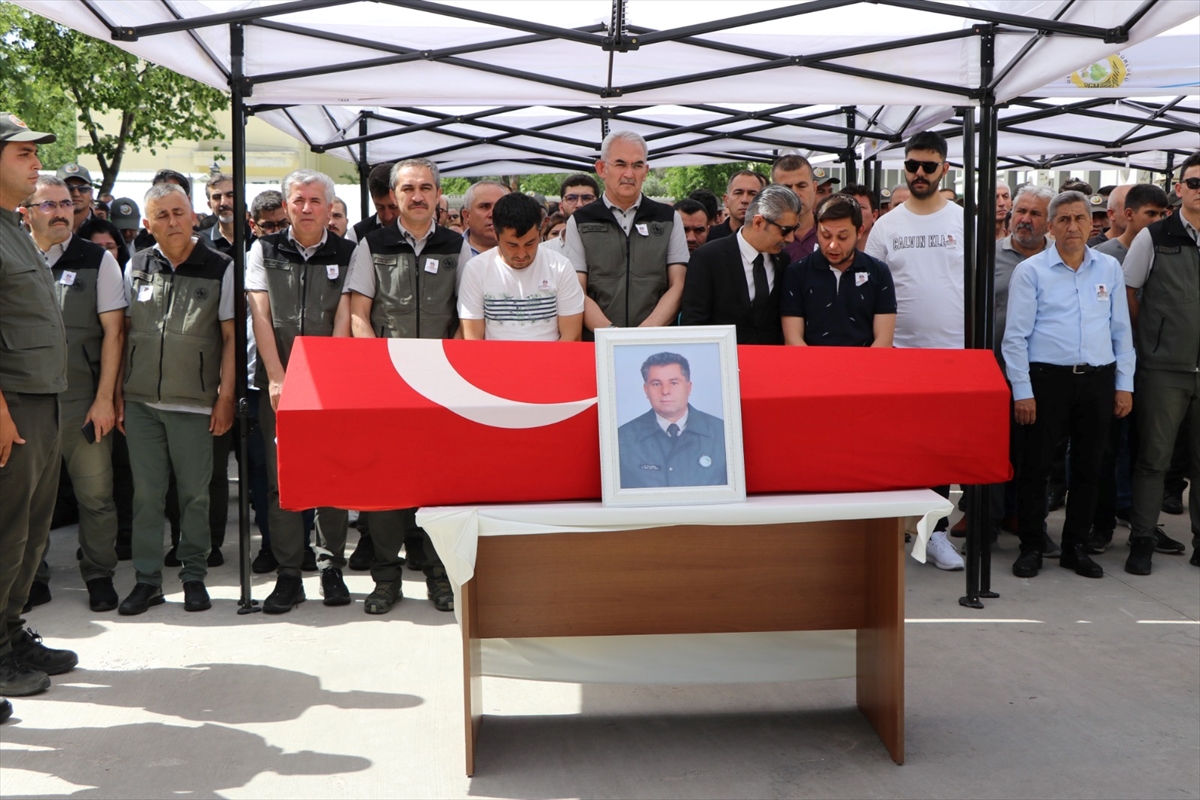 Otomobilin çarptığı orman muhafaza memuru öldü