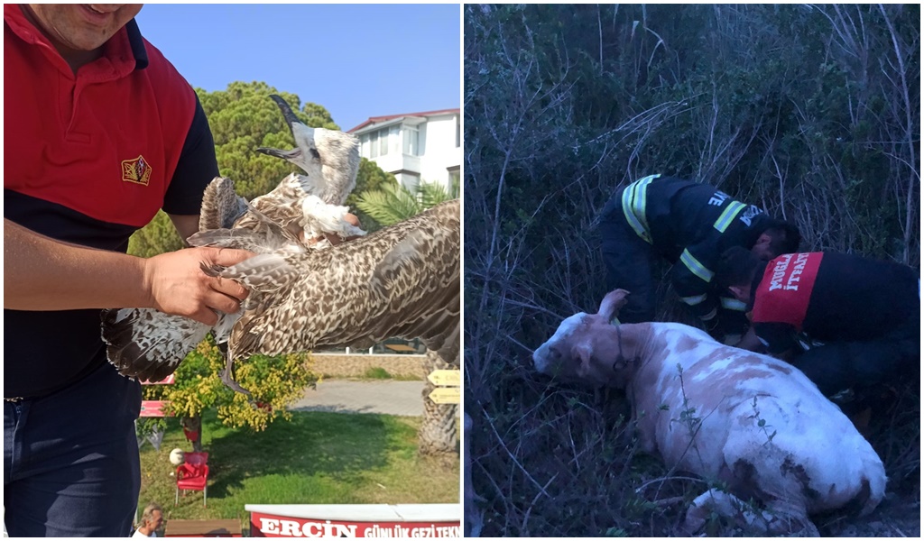 İtfaiyeden Hayvan Kurtarma Mesaisi
