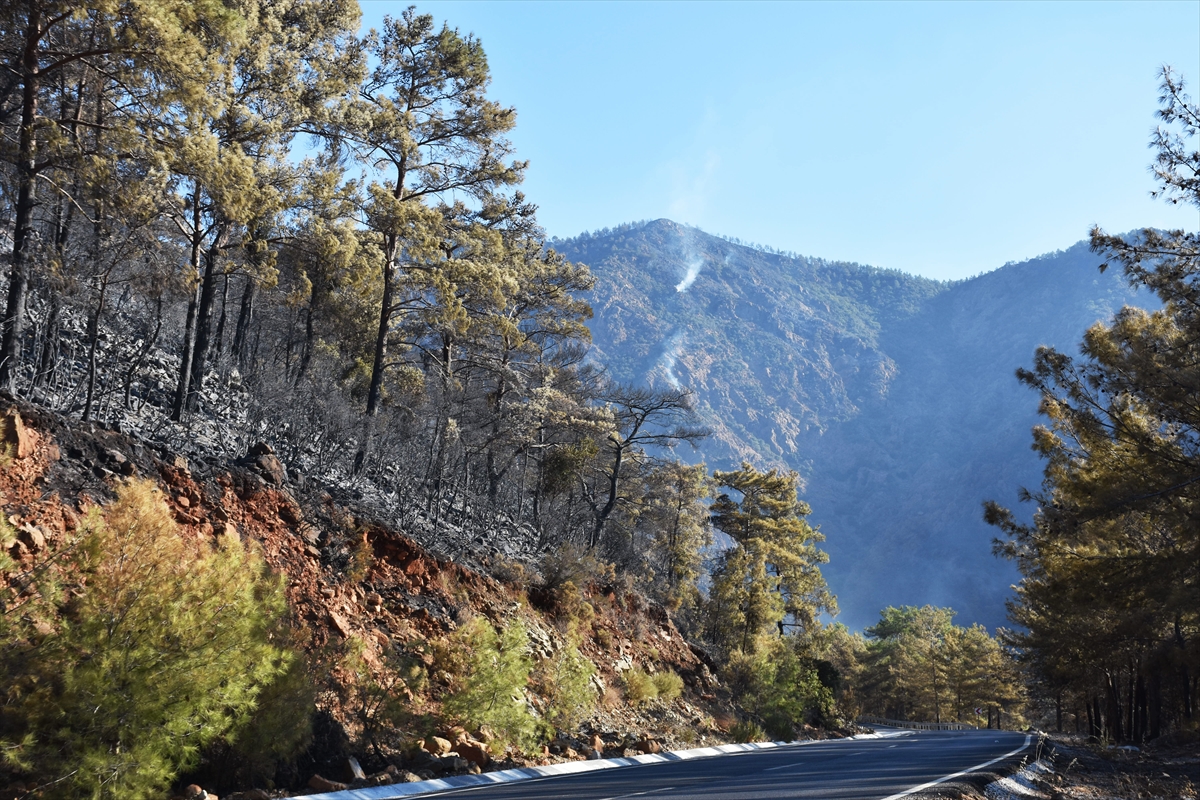 Marmaris'teki orman yangını kontrol altına alındı