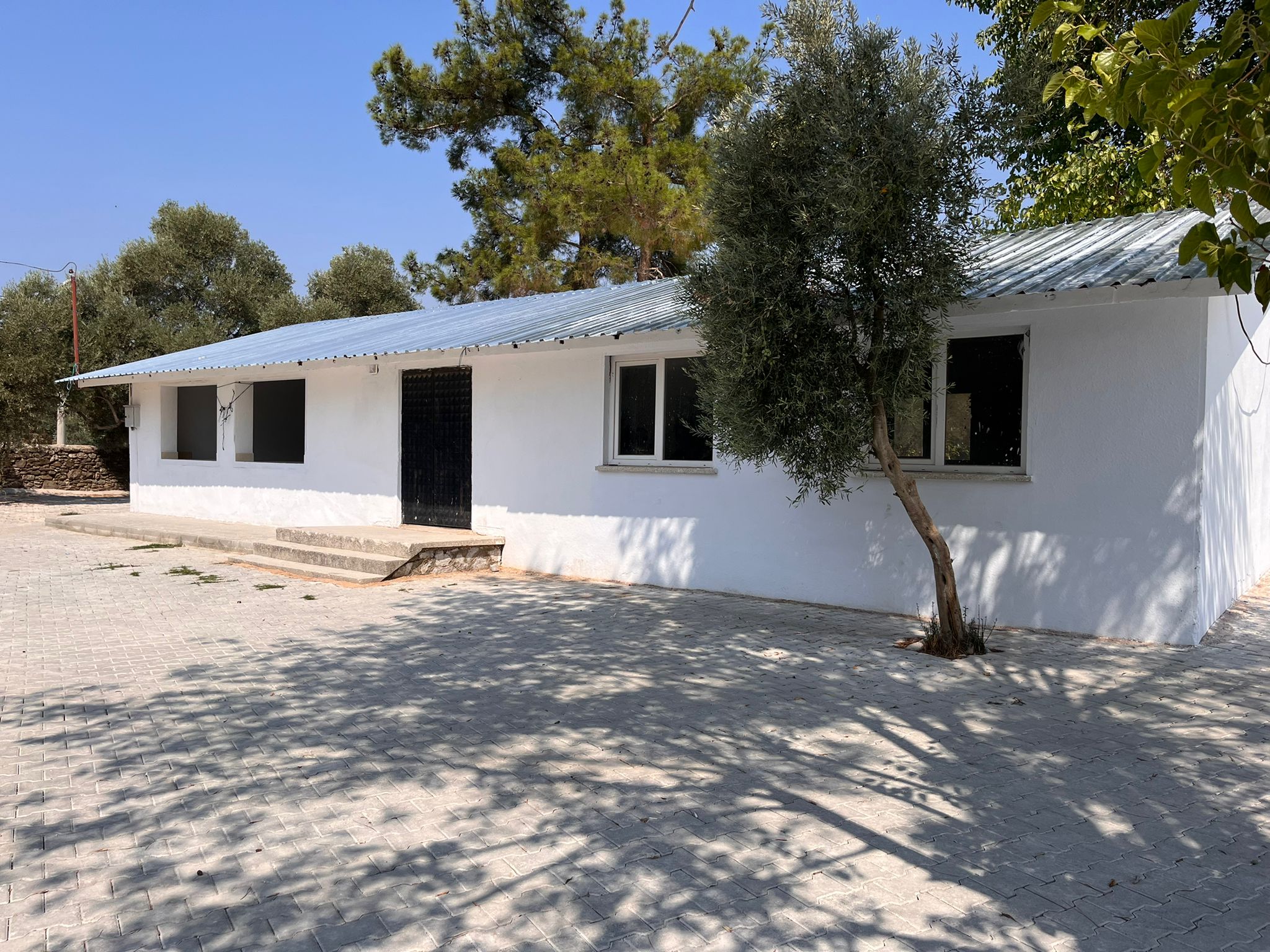 Muhtardan Teşekkür