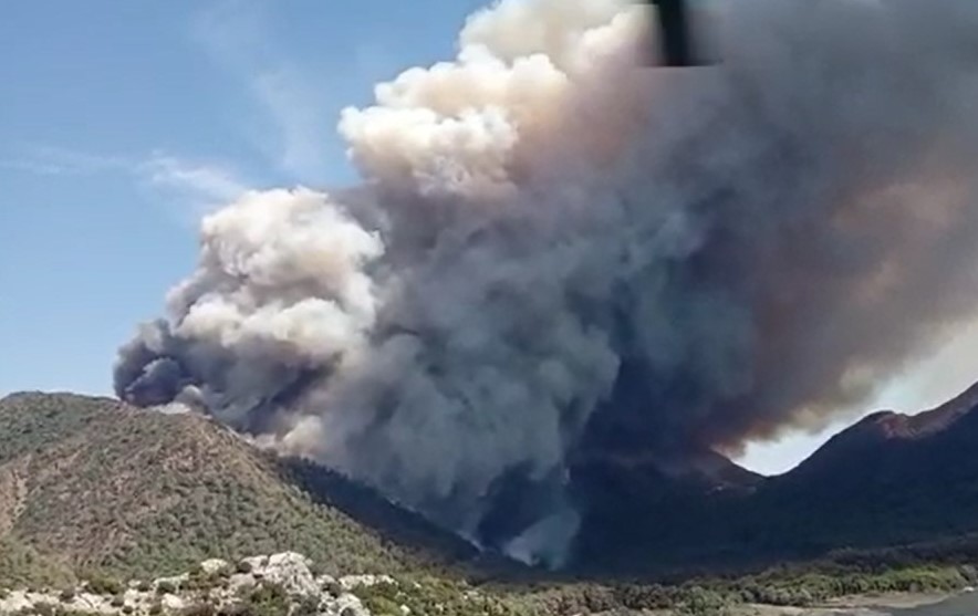 Marmaris'te Orman Yangını Başladı