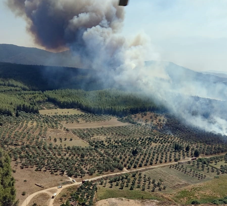 Yangına Müdahale Ediliyor