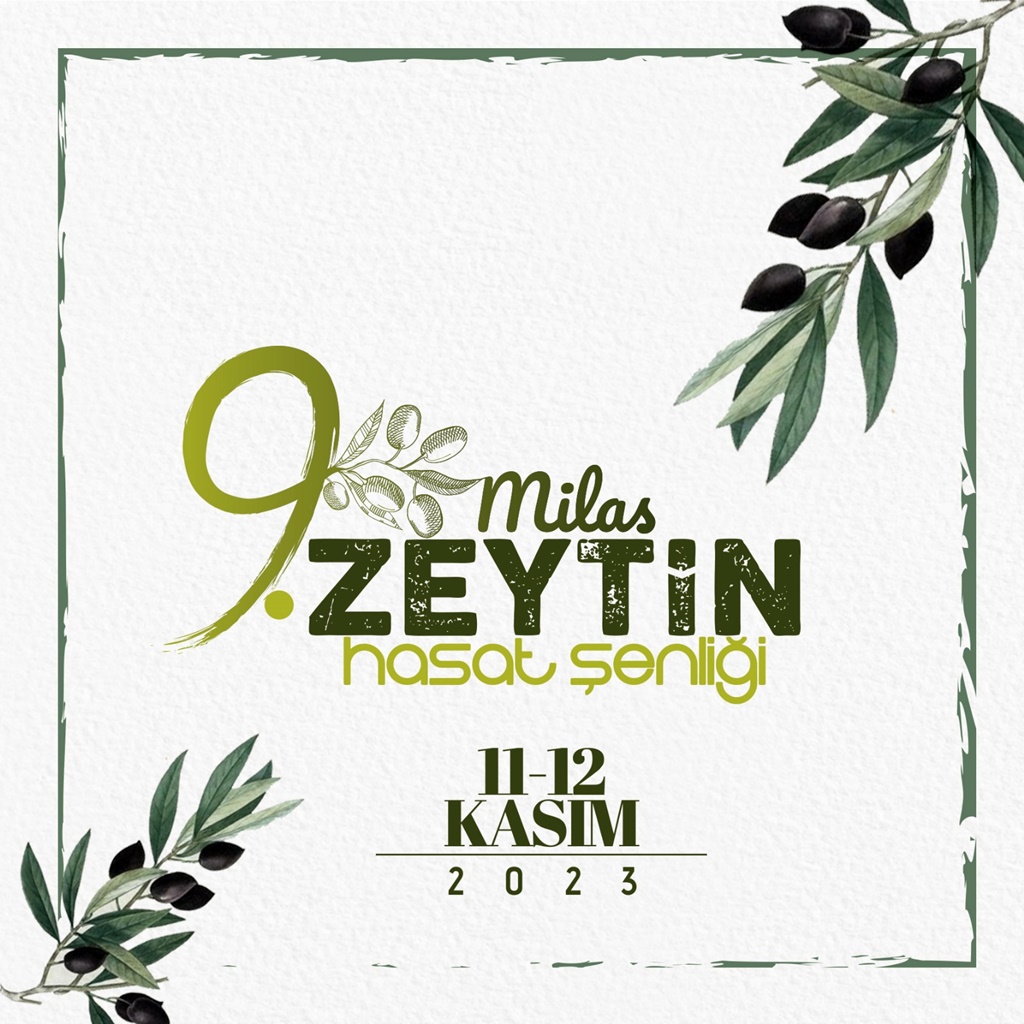9. Milas Zeytin Hasat Şenliği Başlıyor