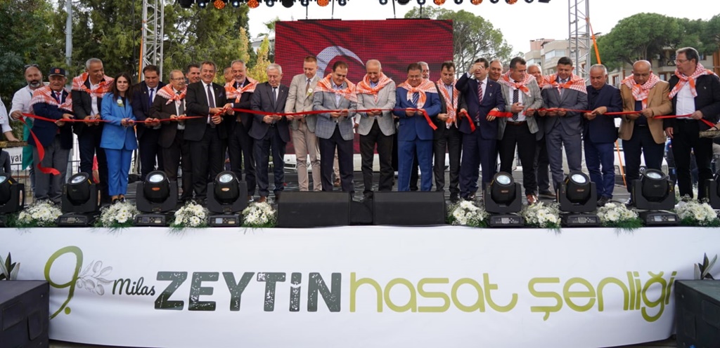 Milas’ta Zeytin Hasadı Şenliği