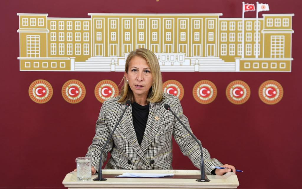 Milletvekili Süreyya Öneş Derici'den Açıklama