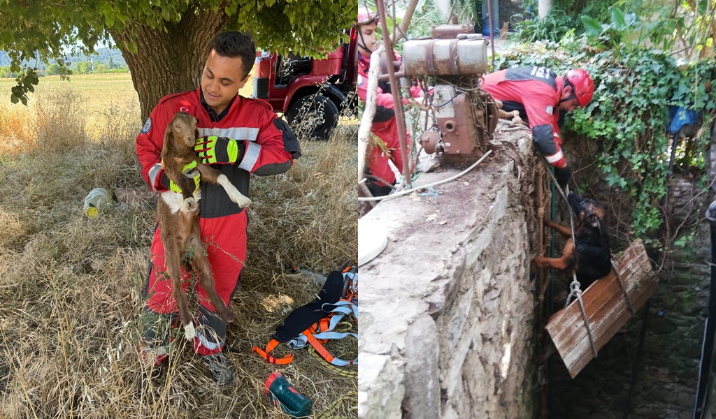 İtfaiyeden Hayvan Kurtarma Operasyonu