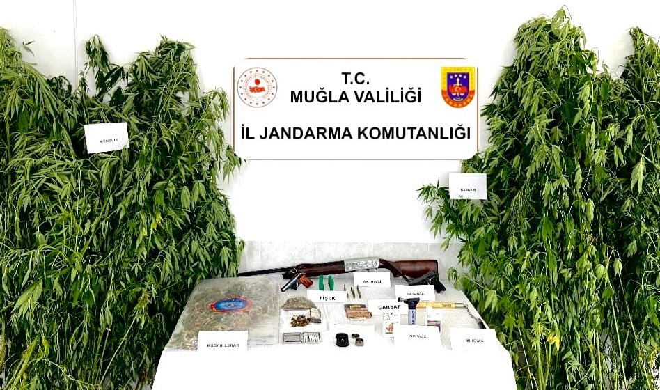 Kenevir Yetiştiricisine Jandarma Baskını