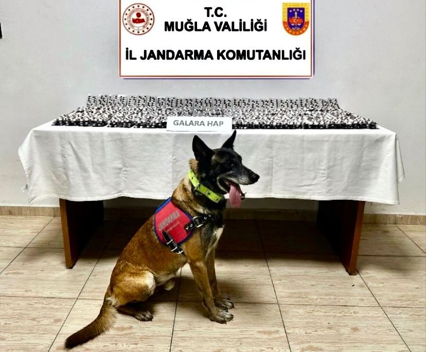 Beş Bin Hapla Bodrum'a Girecekti
