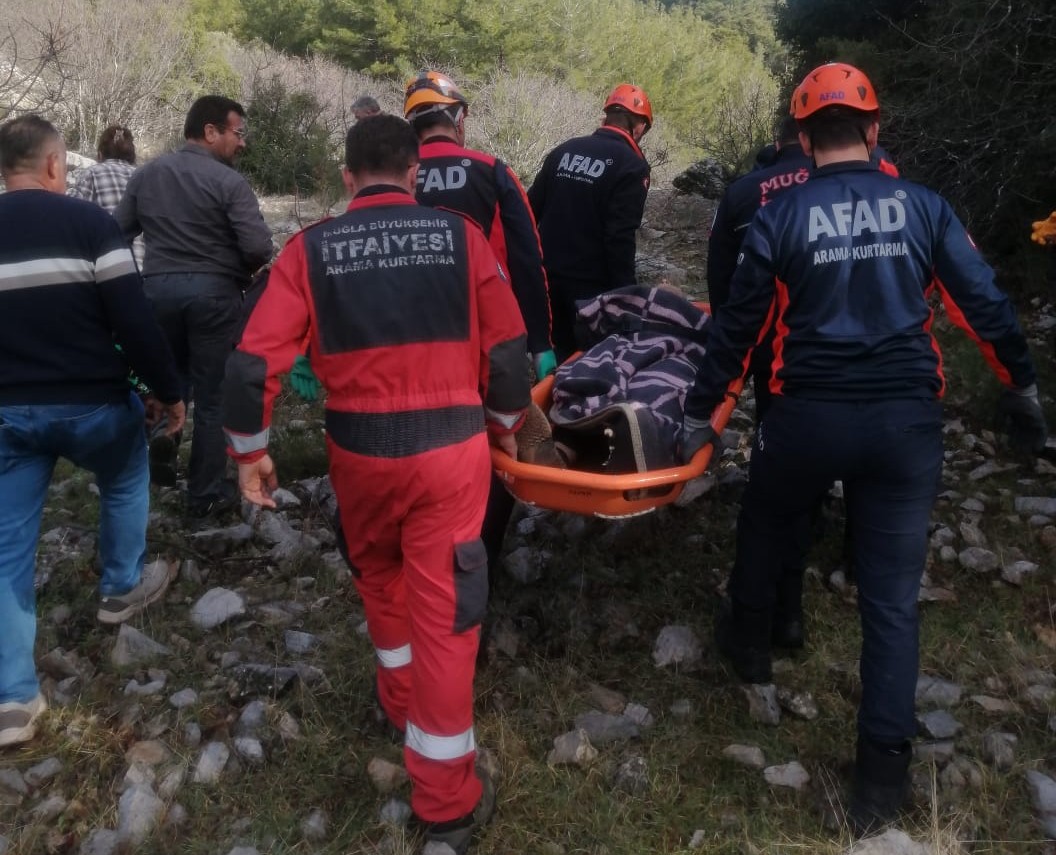 Kayalıklardan Düşen Vatandaş Ekiplerce Kurtarıldı