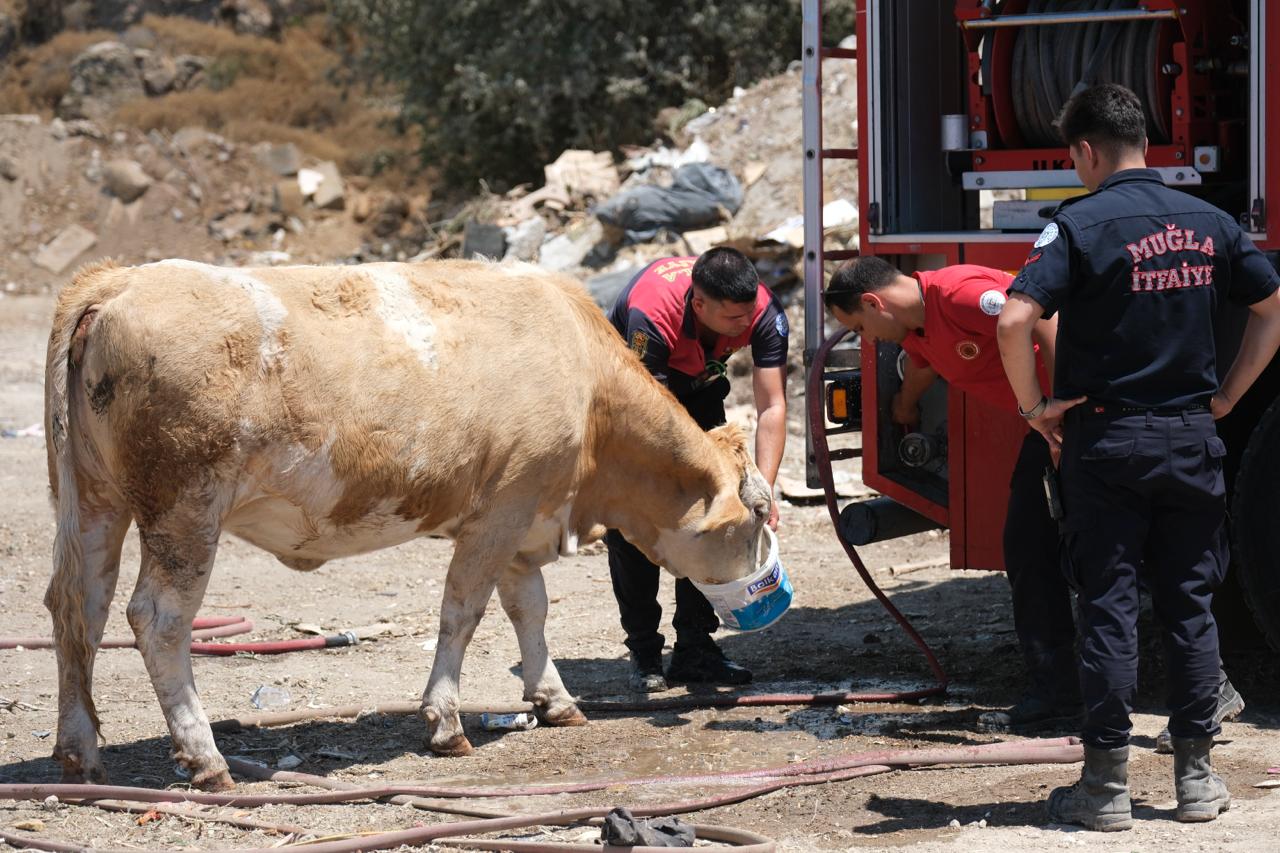 Yangın Sahasında Yürek Isıtan An