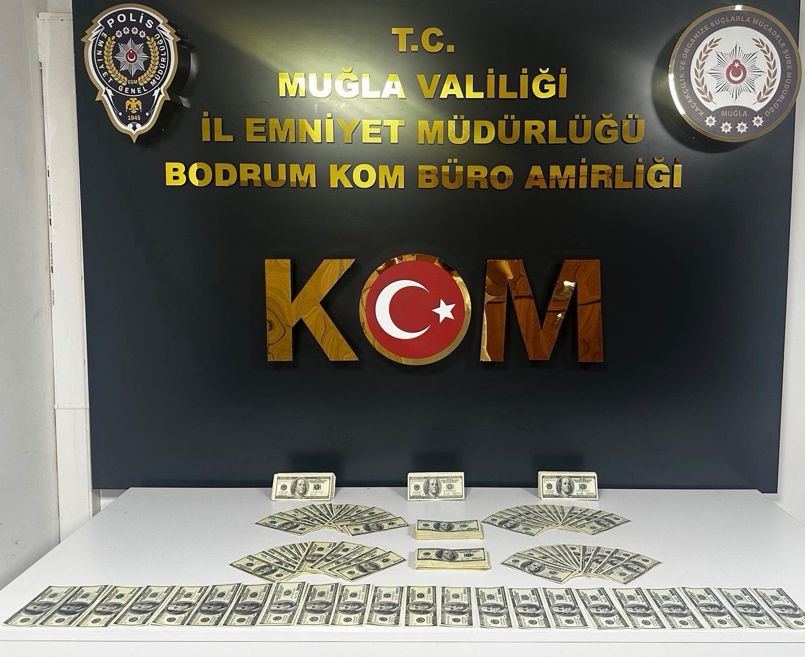Bodrum'da Sahte Döviz Operasyonu
